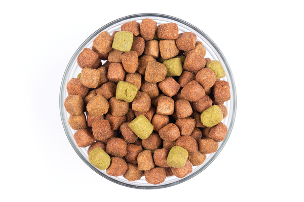 Carnis Dog kibble Beef, 10 kg