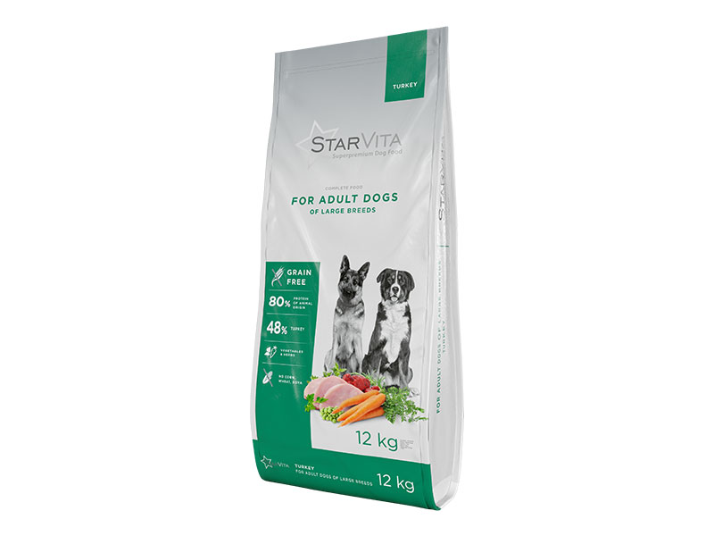 for active dogs