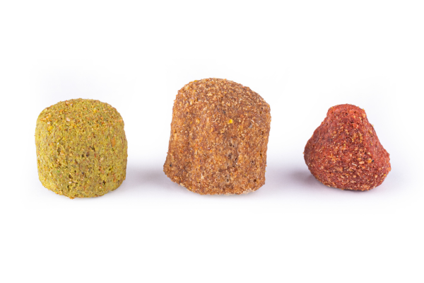 Carnis Granules für Adult Dogs 10kg (Lamb)