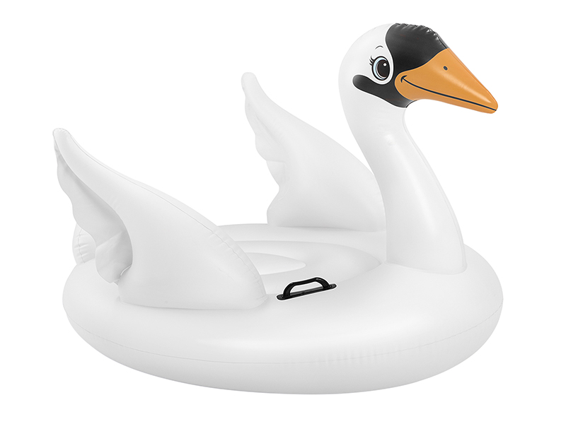 Rider Swan