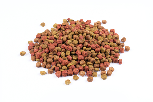 Carnis - Granules Beef 1,6 kg