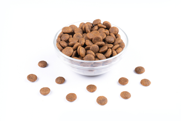 StarVita granules für adult dogs, beef/ fish, 12 kg