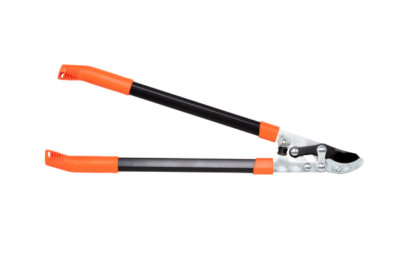 Astschere mit Ratsche MTF P70
