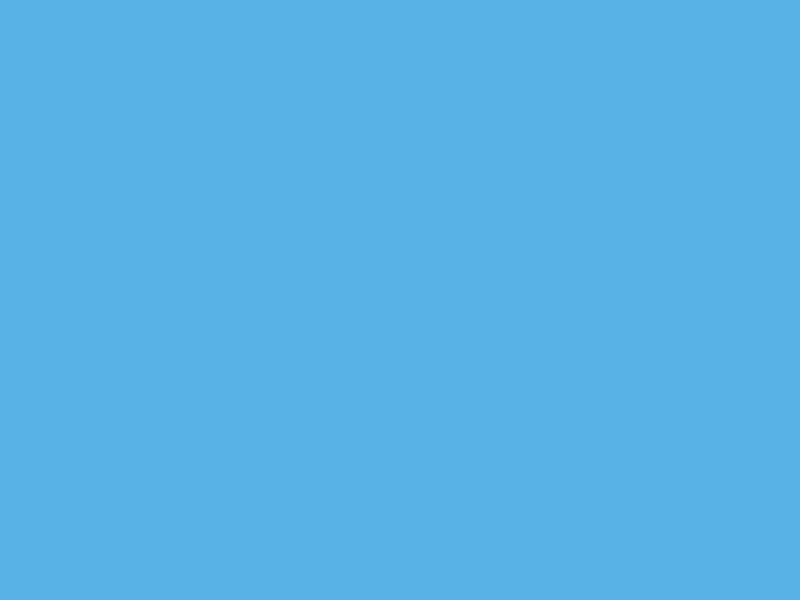 Blue liner height 1.5 m / thickness 0.8mm - 5.00 x 11.0 m