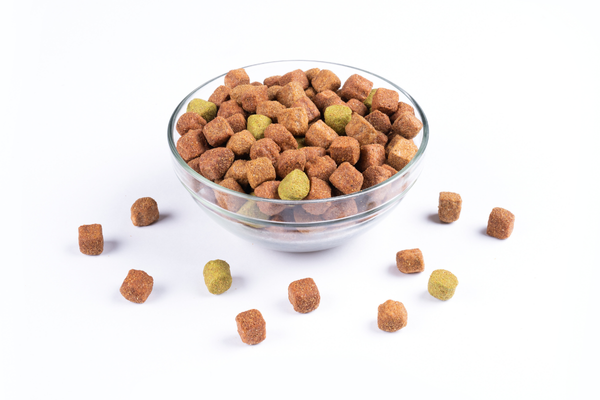 Carnis Dog kibble Beef, 10 kg