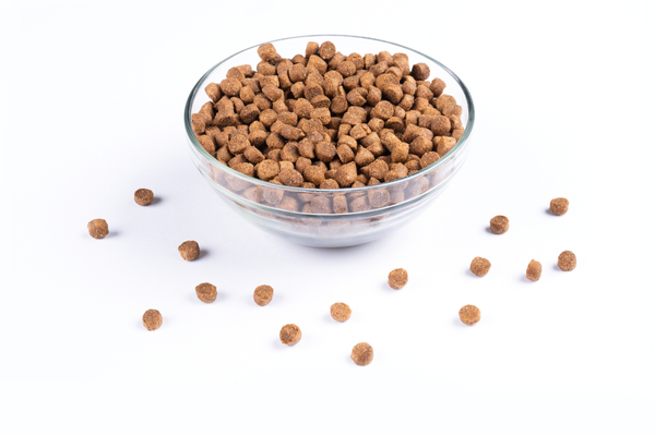 Carnis Granules für Puppies und Pregnant Female Dogs 10kg