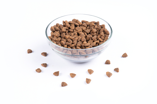 VIVAVITA für Puppies Of Large Breeds, 7kg