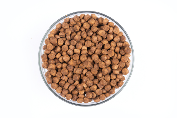 Carnis Granules für Puppies und Pregnant Female Dogs 10kg