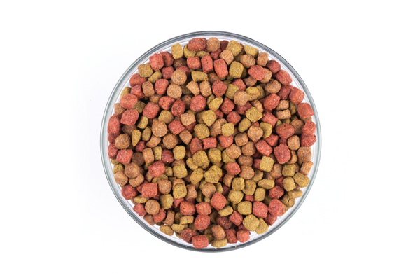 Carnis - Granules Beef 1,6 kg